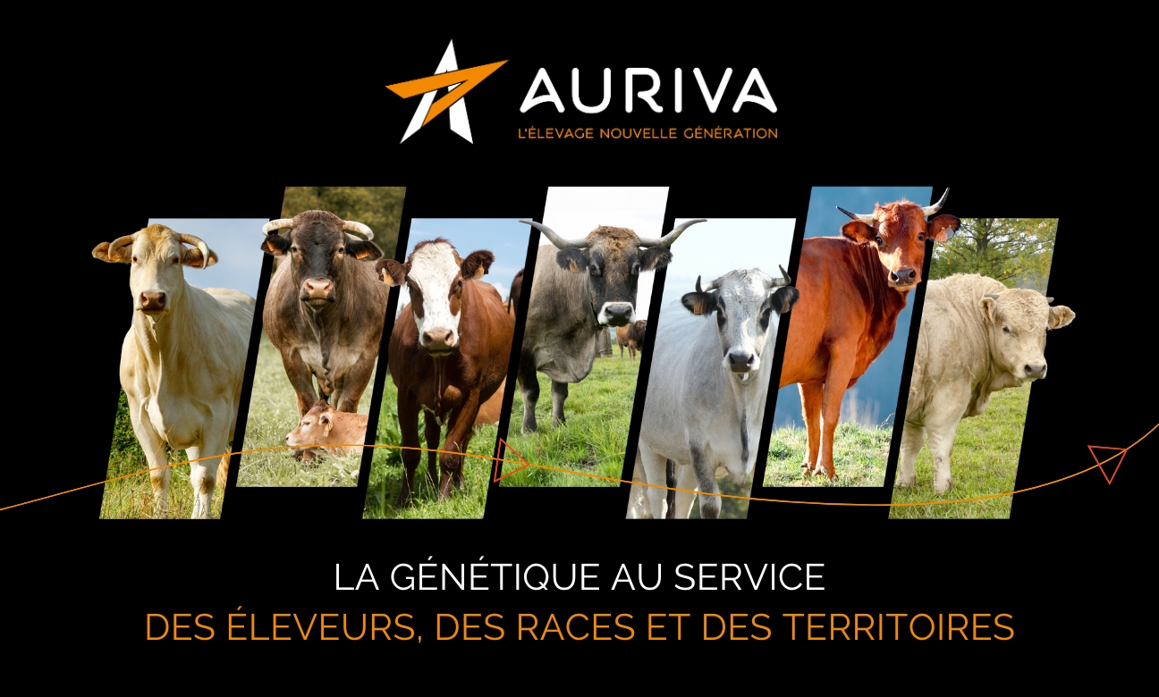 197f85185c00-Banniere-AURIVA-Aquitanima-1296x780.jpg