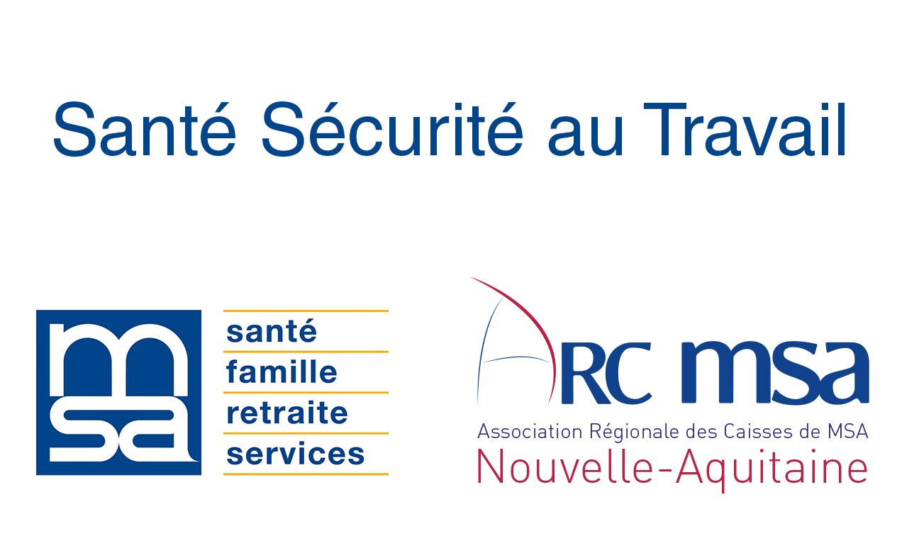 b2e56ee5b0ca-Banniere-web-logo-MSA-et-Arc-MSA-.jpg